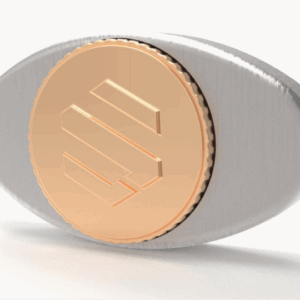 Elliptical Spacy Buckle