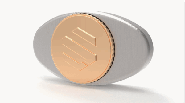 Elliptical Spacy Buckle